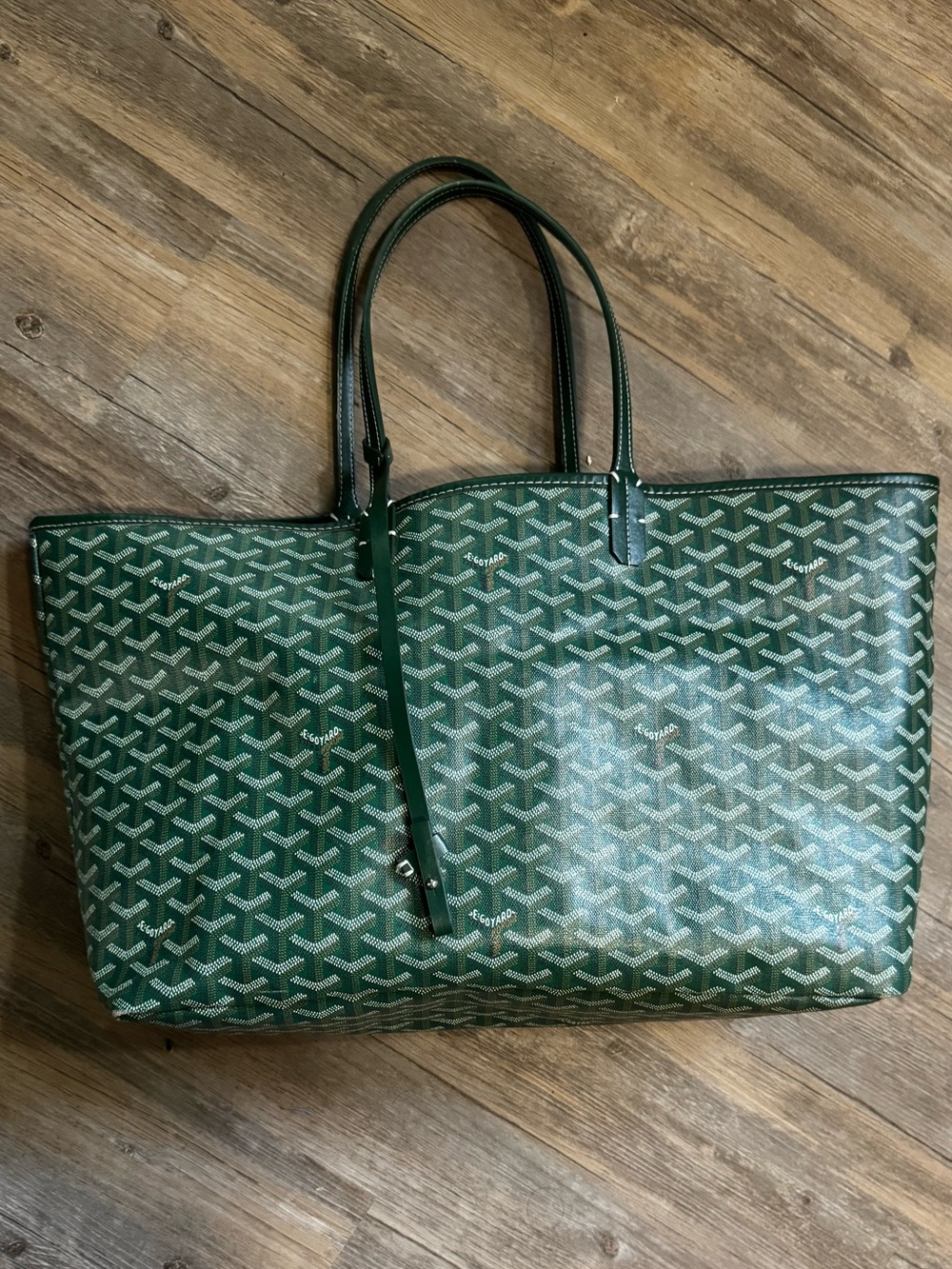 Goyard Saint Louis PM Tote Bag in Green
